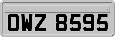 OWZ8595