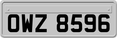OWZ8596