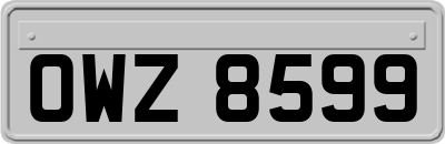 OWZ8599