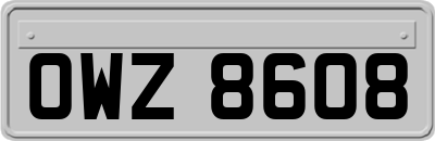 OWZ8608