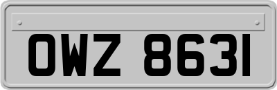 OWZ8631