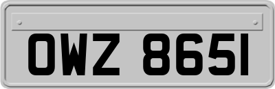 OWZ8651