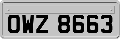 OWZ8663