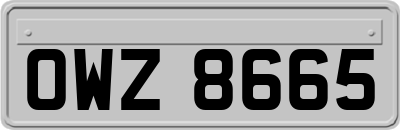 OWZ8665