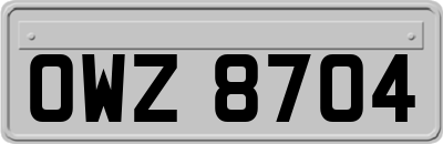 OWZ8704