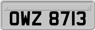 OWZ8713