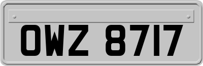 OWZ8717