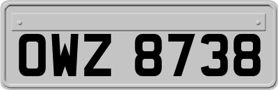 OWZ8738
