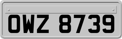 OWZ8739