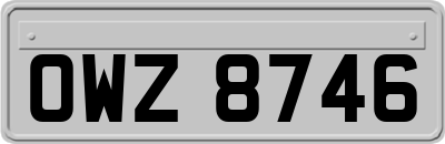 OWZ8746