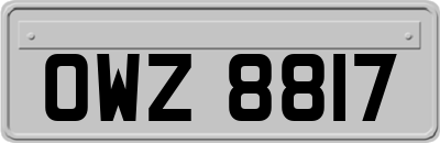 OWZ8817