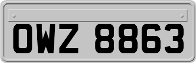 OWZ8863