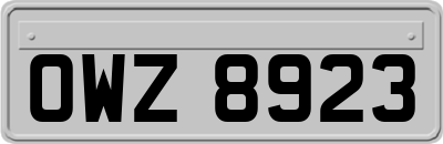 OWZ8923