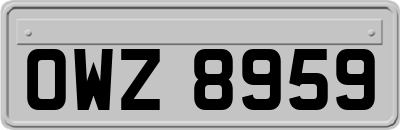 OWZ8959