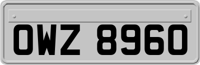 OWZ8960