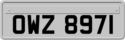 OWZ8971