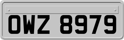 OWZ8979