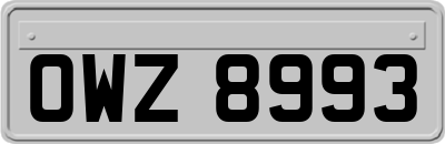 OWZ8993