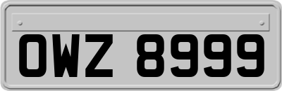 OWZ8999