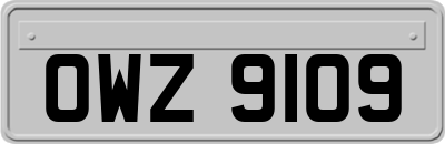OWZ9109