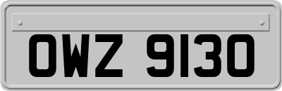 OWZ9130