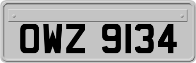 OWZ9134