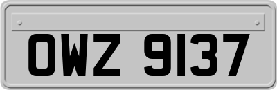 OWZ9137