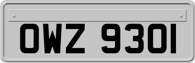 OWZ9301