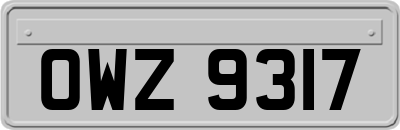 OWZ9317