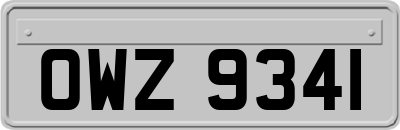 OWZ9341