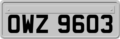 OWZ9603