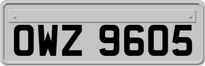 OWZ9605