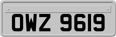 OWZ9619