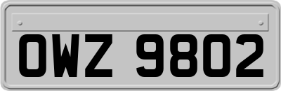 OWZ9802