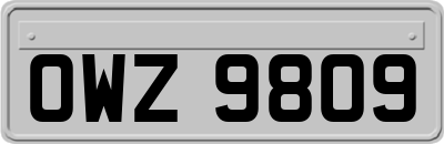 OWZ9809