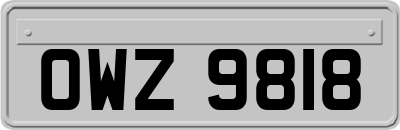OWZ9818