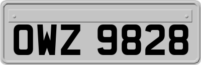 OWZ9828