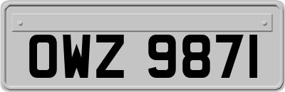 OWZ9871