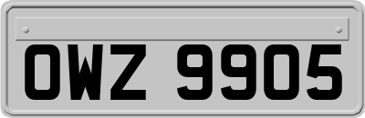 OWZ9905