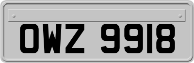 OWZ9918