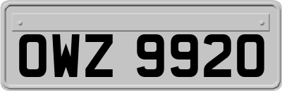 OWZ9920