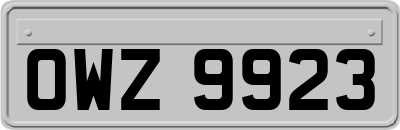 OWZ9923