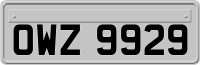 OWZ9929