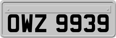 OWZ9939