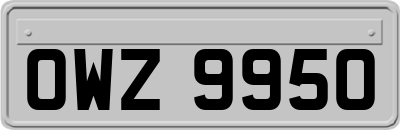 OWZ9950