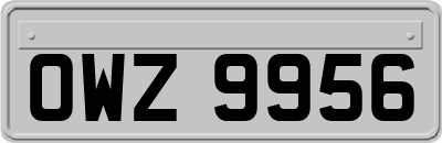 OWZ9956