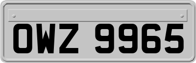 OWZ9965