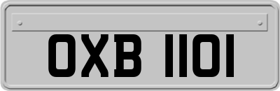OXB1101