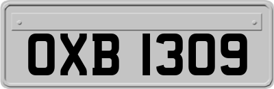 OXB1309