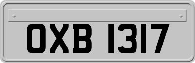 OXB1317